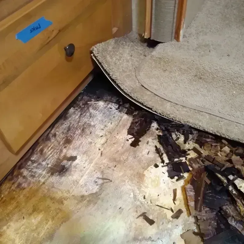 Wood Floor Water Damage in New Haven County, CT